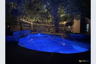 1233 Rapids Road, New Braunfels, TX 78130 - Photo 30