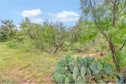 52.97Ac Cross Road, Seguin, TX 78155 - Photo 24