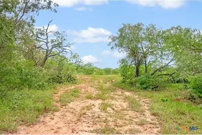 52.97Ac Cross Road, Seguin, TX 78155 - Photo 6