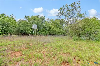 52.97Ac Cross Road, Seguin, TX 78155 - Photo 10