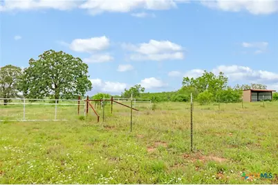 52.97Ac Cross Road, Seguin, TX 78155 - Photo 16