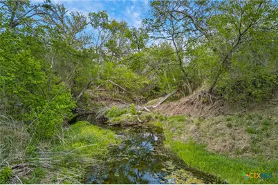 1077 Burdette Wells Road, Lockhart, TX 78644 - Photo 30