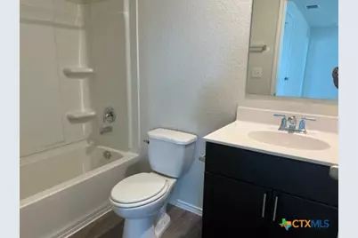 423 Russian Sage, New Braunfels, TX 78130 - Photo 12