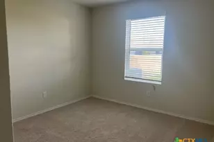 423 Russian Sage, New Braunfels, TX 78130 - Photo 10