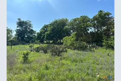 Lot 5 Titus Lane, Bertram, TX 78605 - Photo 10