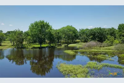 5380 County Road 132 (81.02 Acres), Caldwell, TX 77836 - Photo 16