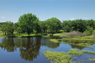 5380 County Road 132 (81 02 Acres), Caldwell, TX 77836 - Photo 16