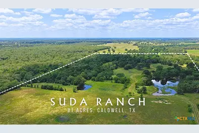 5380 County Road 132 (81.02 Acres), Caldwell, TX 77836 - Photo 1