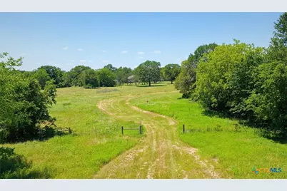 5380 County Road 132 (81.02 Acres), Caldwell, TX 77836 - Photo 14