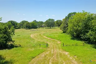 5380 County Road 132 (81 02 Acres), Caldwell, TX 77836 - Photo 14
