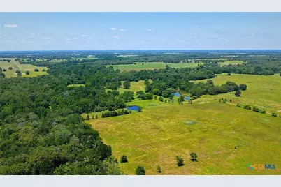 5380 County Road 132 (81.02 Acres), Caldwell, TX 77836 - Photo 12
