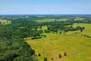 5380 County Road 132 (81 02 Acres), Caldwell, TX 77836 - Photo 12