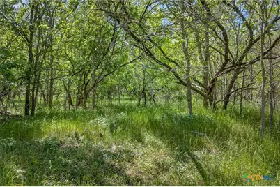 0000 Fm 1854, Dale, TX 78616 - Photo 16