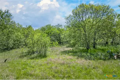 0000 Fm 1854, Dale, TX 78616 - Photo 12