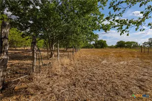 3041 Fm 671, Luling, TX 78648 - Photo 14