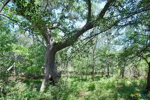 2116 Langdon Rd, Weimar, TX 78962 - Photo 22