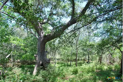 2116 Langdon Road, Weimar, TX 78962 - Photo 22