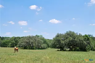 2116 Langdon Rd, Weimar, TX 78962 - Photo 4