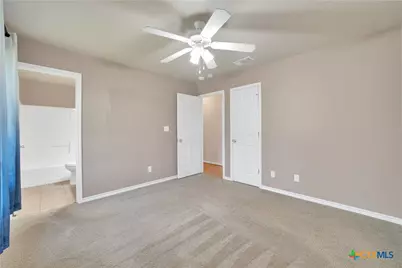 157 Dandelion Trail, San Marcos, TX 78666 - Photo 18