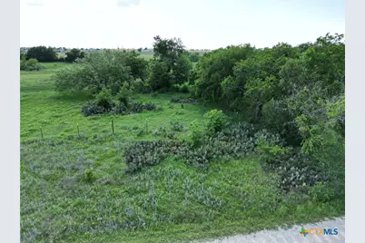 Lot 16 Titus Lane, Bertram, TX 78605 - Photo 8