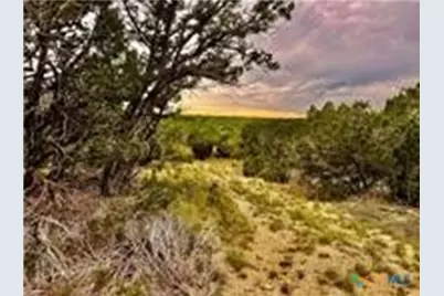 2017 County Road 222, Kempner, TX 76539 - Photo 4