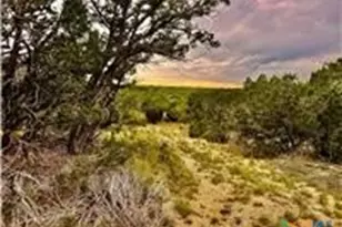 2017 Co Rd 222, Kempner, TX 76539 - Photo 4