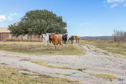 2884 Political Road, Lockhart, TX 78644 - Photo 26