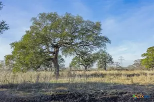 600 River Rd, Martindale, TX 78655 - Photo 10