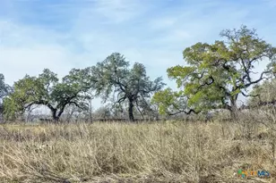 600 River Rd, Martindale, TX 78655 - Photo 8