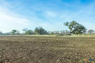 600 River Rd, Martindale, TX 78655 - Photo 12