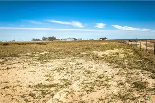 762 TX-304, Bastrop, TX 78602 - Photo 4
