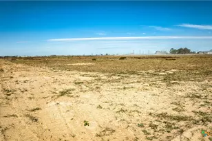 762 TX-304, Bastrop, TX 78602 - Photo 8