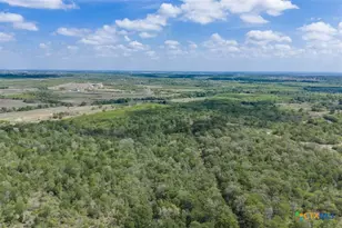 8519 State Park Rd, Lockhart, TX 78644 - Photo 40