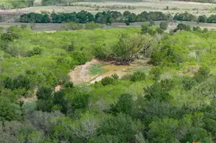 8519 State Park Rd, Lockhart, TX 78644 - Photo 38