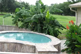 730 E Mather St, New Braunfels, TX 78130 - Photo 12