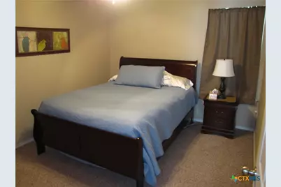 730 E Mather Street, New Braunfels, TX 78130 - Photo 10
