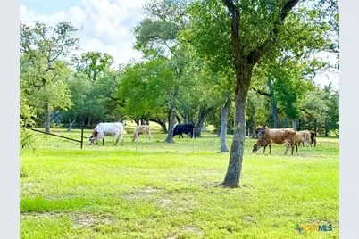 991 County Road 130, Edna, TX 77957 - Photo 44