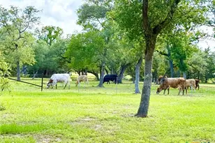 991 Co Rd 130, Edna, TX 77957 - Photo 44
