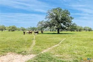 605 Fm 1682, Leesville, TX 78122 - Photo 28
