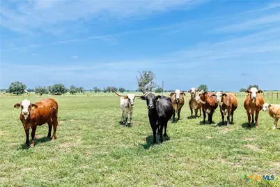 605 Fm 1682, Leesville, TX 78122 - Photo 26