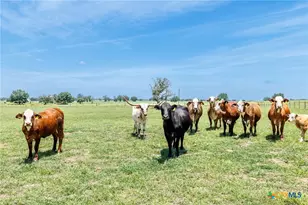 605 Fm 1682, Leesville, TX 78122 - Photo 26