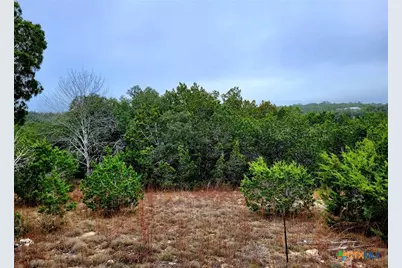 193 Appaloosa Drive, Fischer, TX 78623 - Photo 1