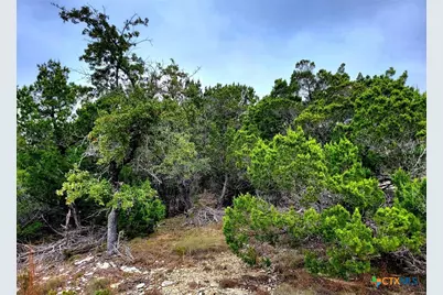 193 Appaloosa Drive, Fischer, TX 78623 - Photo 6