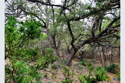 171 Appaloosa Drive, Fischer, TX 78623 - Photo 6