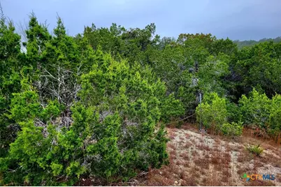 171 Appaloosa Drive, Fischer, TX 78623 - Photo 8