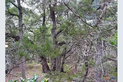 Tbd Lot 43A Narrows Road #1, Blanco, TX 78606 - Photo 6