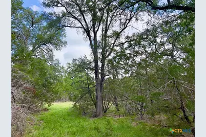 Tbd Lot 43A Narrows Road #1, Blanco, TX 78606 - Photo 1