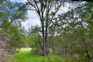 Tbd Lot 43A Narrows Rd, Blanco, TX 78606 - Photo 1