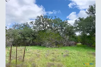 Tbd Lot 43A Narrows Road #1, Blanco, TX 78606 - Photo 4