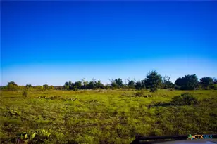 6988 County Rd 1255, Lampasas, TX 76550 - Photo 6